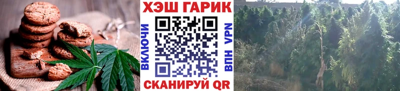 где можно купить   Александровск  Cannafood марихуана 