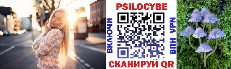 Галлюциногенные грибы Psilocybine cubensis цены Александровск